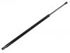 Gasdruckfeder Gas Spring:5109605AC