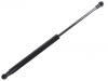 Gasdruckfeder Gas Spring:95962016