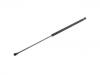 Gasdruckfeder Gas Spring:8731.R8