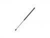 Gasdruckfeder Gas Spring:81770-1G000